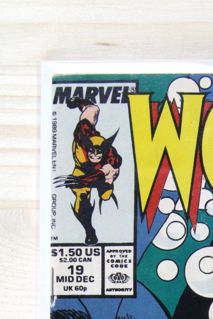 Wolverine #19 – Marvel (1989) 8.0 VF Chris Claremont story