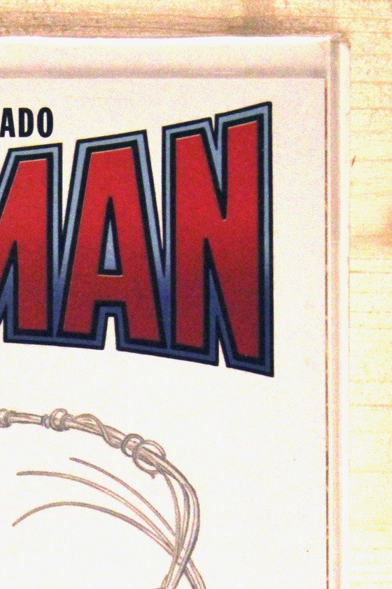 Spider-Man #1 – Marvel (2022) 9.6 NM+ Torment | Todd McFarlane story | Bagley