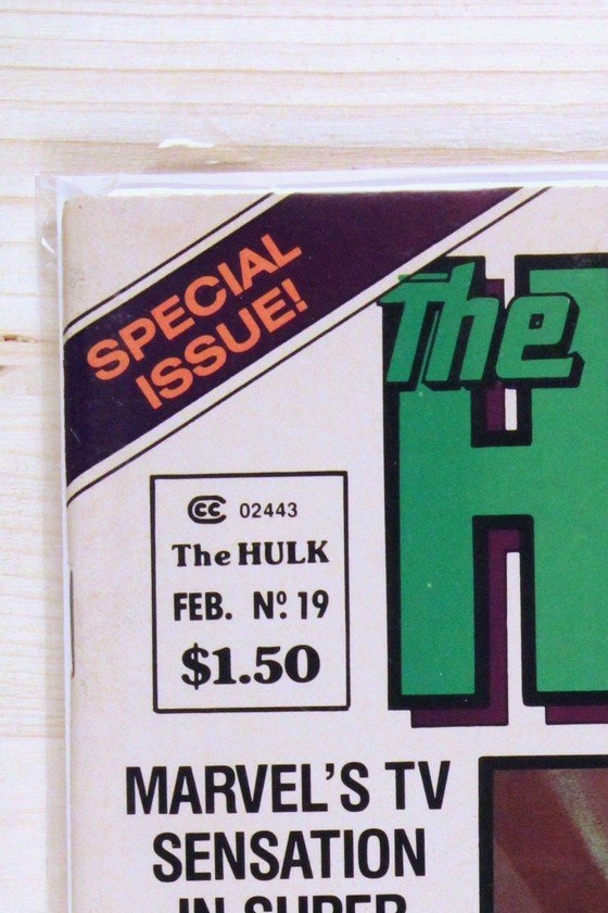 The Hulk! #19 – Marvel (1980) 9.4 NM Special Issue; Magazine format (Rampaging Hulk 1977 Magazine series)