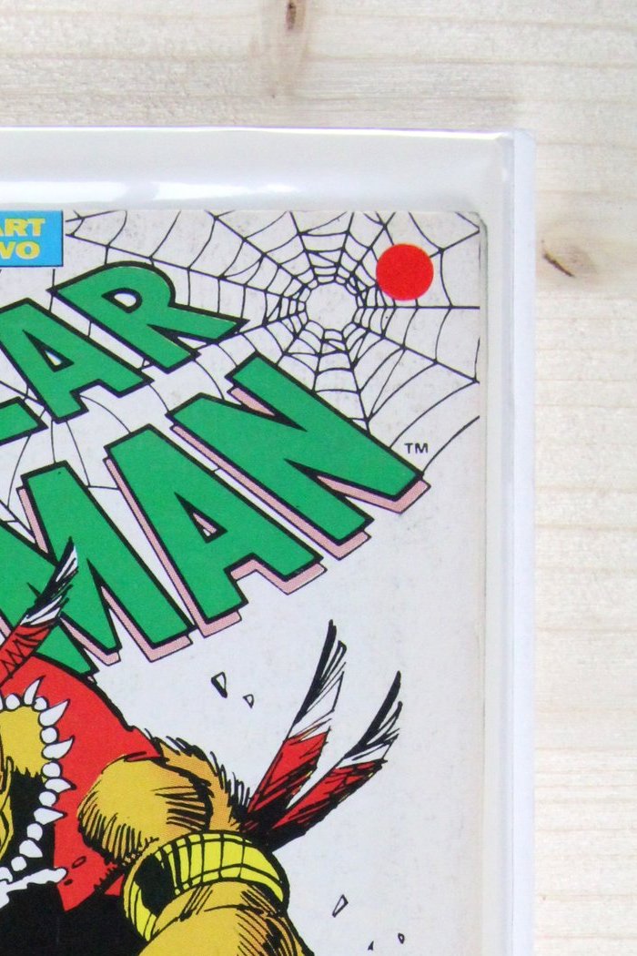 The Spectacular Spider-Man #192 – Marvel (1992) 9.2 NM-