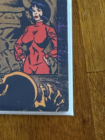 Heroes, Inc. Presents Cannon #1 – Wallace Wood (1969) 9.4 NM