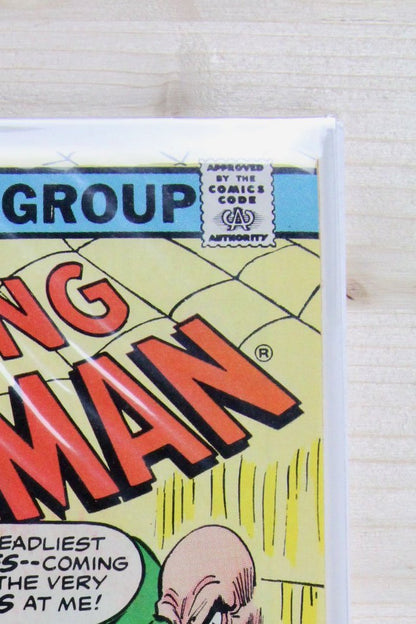 The Amazing Spider-Man #170 – Marvel (1977) 8.0 VF