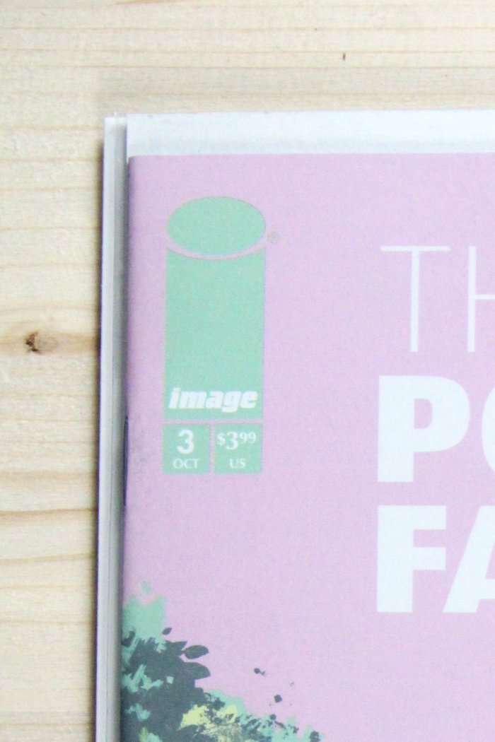 The Power Fantasy #3 – Image (2024) 9.6 NM+ Wijngaard Secret