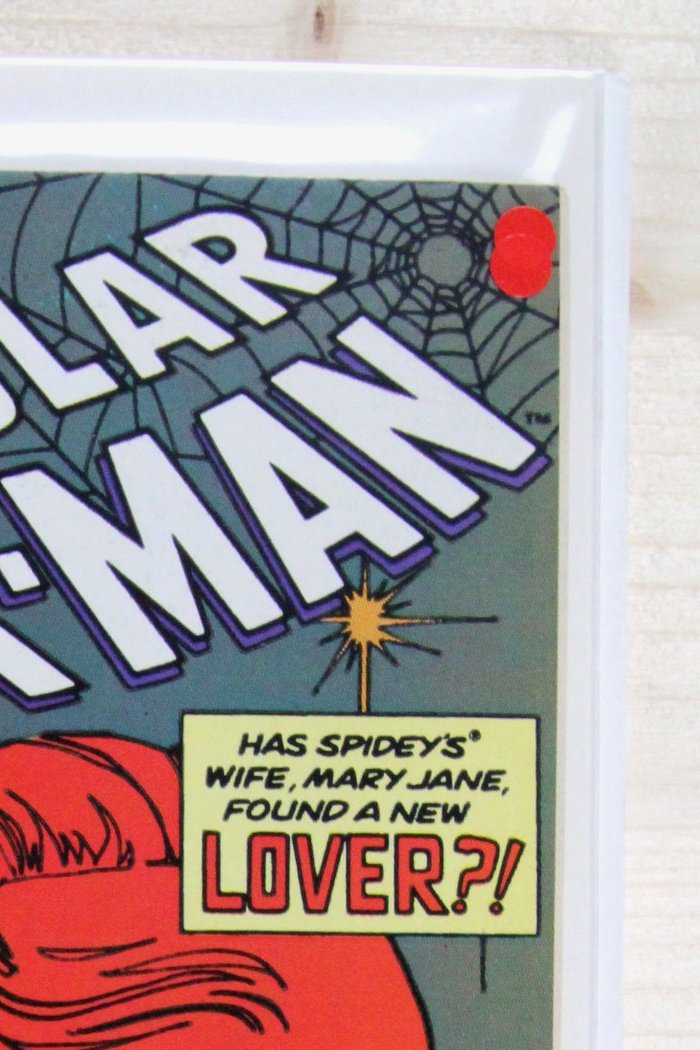 The Spectacular Spider-Man #167 – Marvel (1990) 9.0 VF/NM