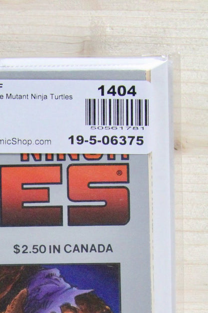 Teenage Mutant Ninja Turtles #20 – Mirage (1989) 9.4 NM Return to New York