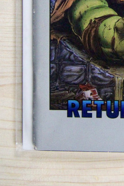Teenage Mutant Ninja Turtles #19 – Mirage (1989) 9.4 NM Return to New York