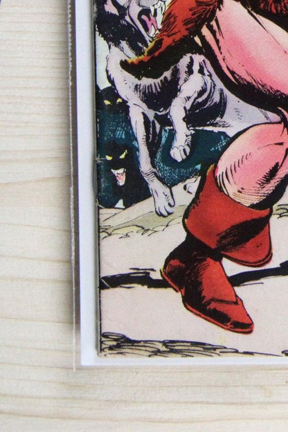 Conan the Barbarian #49 – Marvel (1975) 6.5 FN+ Terry Austin
