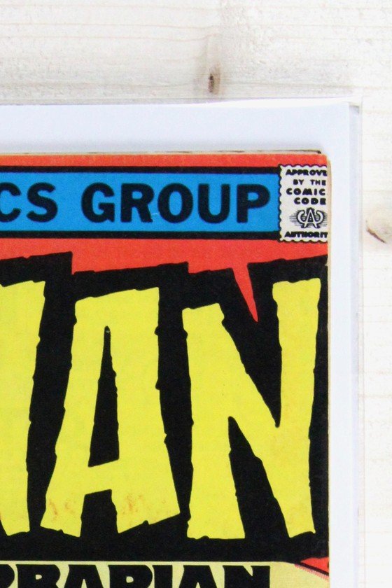 Conan the Barbarian #110 – Marvel (1980) 6.0 FN Newsstand Edition