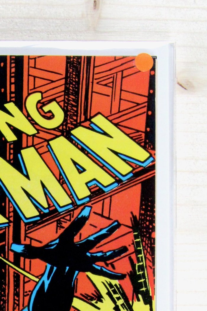 The Amazing Spider-Man #291 – Marvel (1987) 8.5 VF+