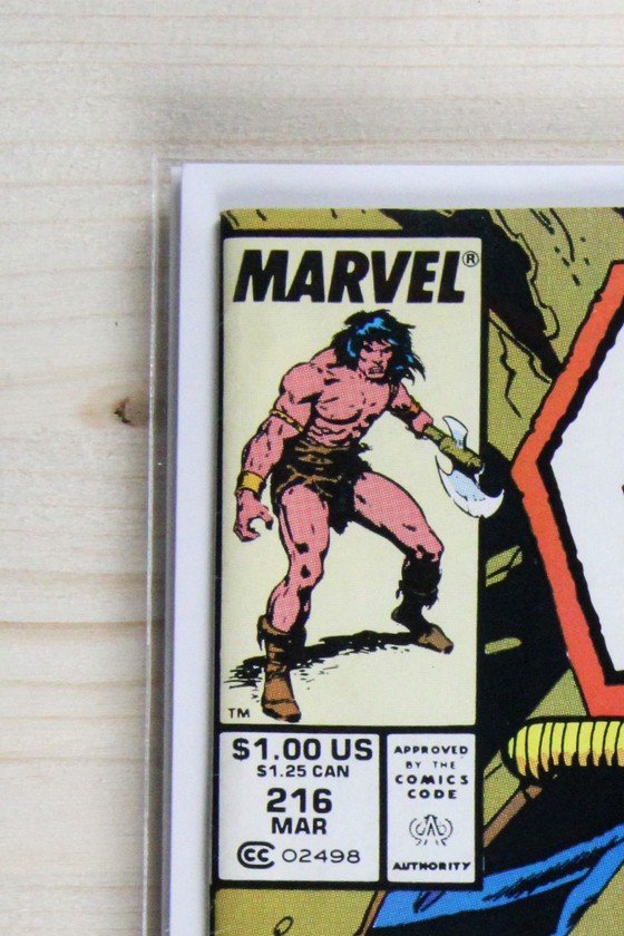 Conan the Barbarian #216 – Marvel (1989) 8.5 VF+ Newsstand Edition