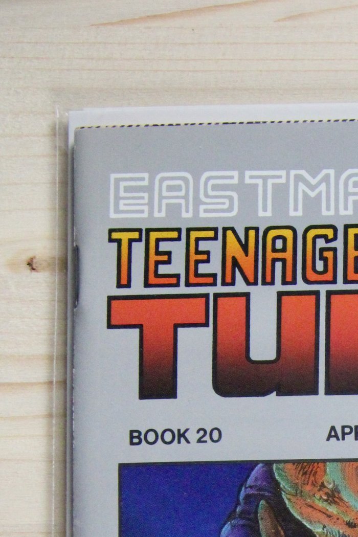 Teenage Mutant Ninja Turtles #20 – Mirage (1989) 9.4 NM Return to New York