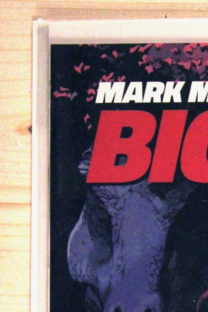 The Big Game #4 – Image (2023) 9.6 NM+