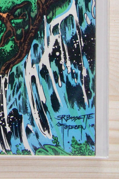 The Saga of Swamp Thing #25 – DC (1984) 9.4 NM Alan Moore story