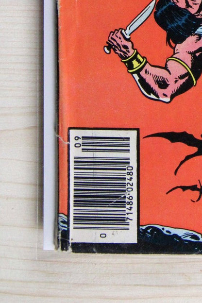 King Conan #3 – Marvel (1980) 6.0 FN Newsstand Edition