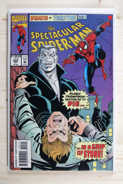 The Spectacular Spider-Man #205 – Marvel (1993) 9.2 NM- Death by Tombstone