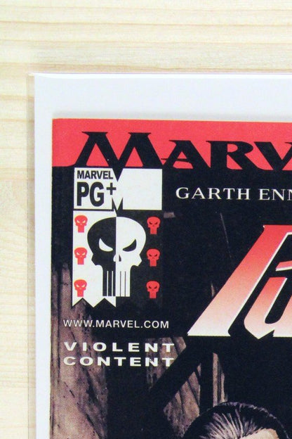 The Punisher #4 – Marvel (2001) 9.4 NM Welcome Back, Frank | Newsstand