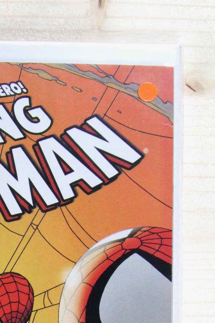 The Amazing Spider-Man #697 – Marvel (2013) 9.4 NM Danger Zone