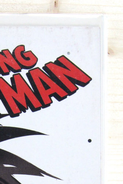 The Amazing Spider-Man #576 – Marvel (2009) 7.5 VF-
