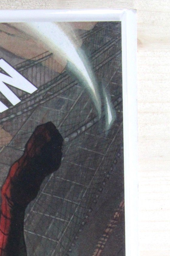 The Amazing Spider-Man #26 – Marvel (2019) 9.6 NM+ Bianchi Variant