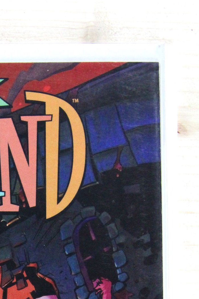 I Hate Fairyland #15 – Image (2024) 9.6 NM+