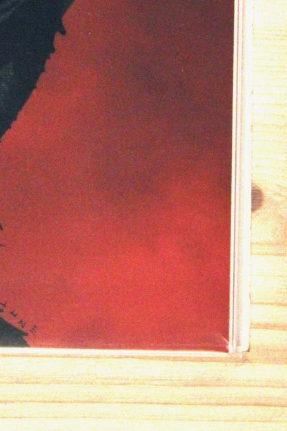 Book of Butcher #1 – Boom! Studio (2023) 9.6 NM+ Jae Lee Virgin