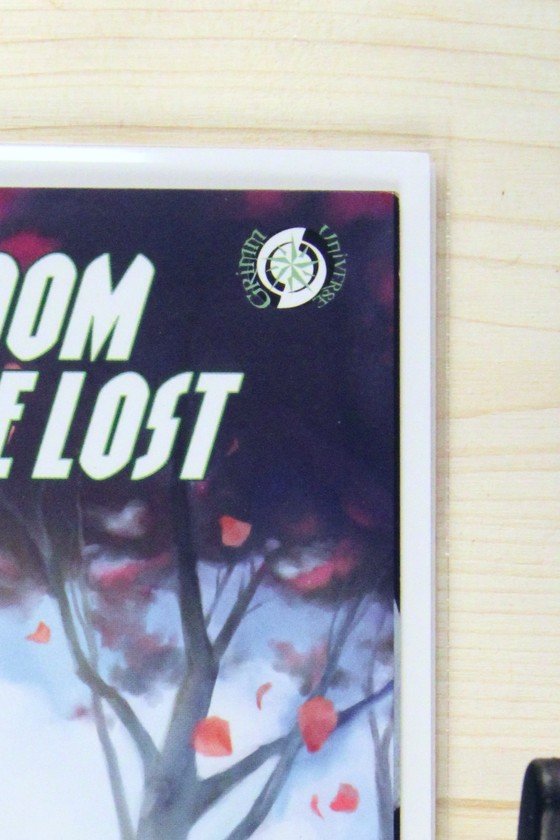 Oz: Kingdom of the Lost #1 – Zenoscope (2023) 9.6 NM+ Josh Burns Artist Variant