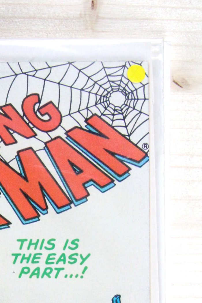 The Amazing Spider-Man #253 – Marvel (1984) 8.5 VF+ Newsstand
