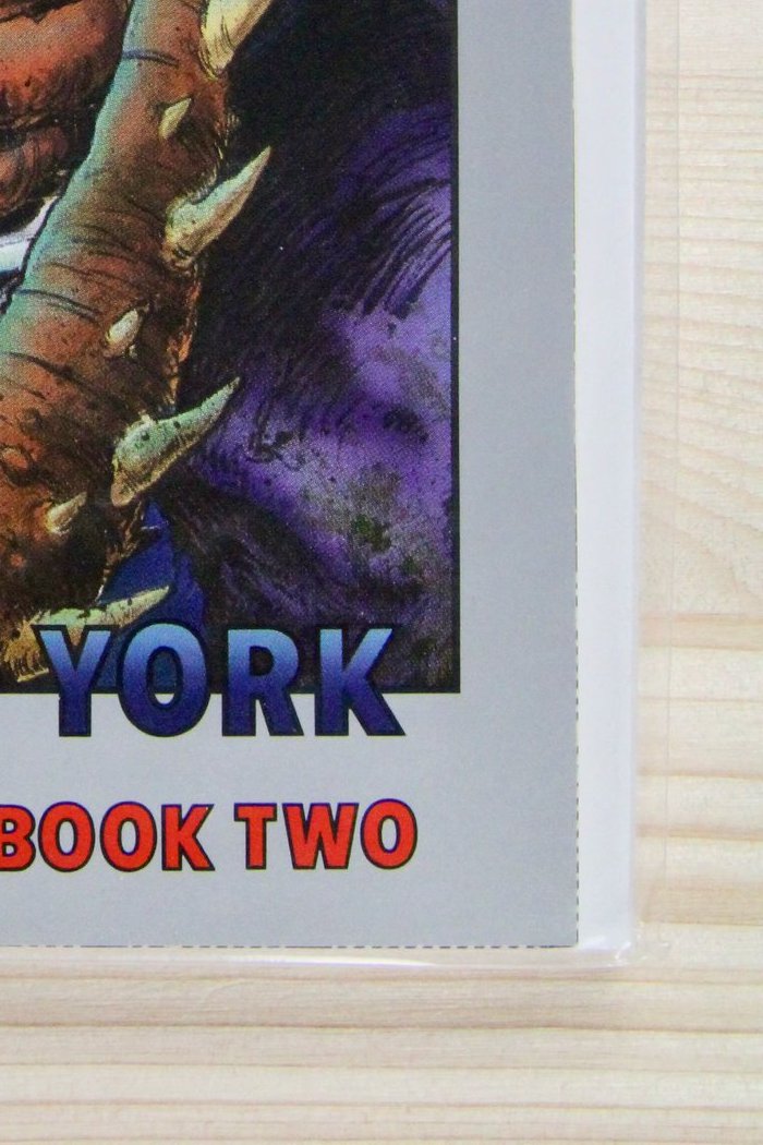 Teenage Mutant Ninja Turtles #20 – Mirage (1989) 9.4 NM Return to New York