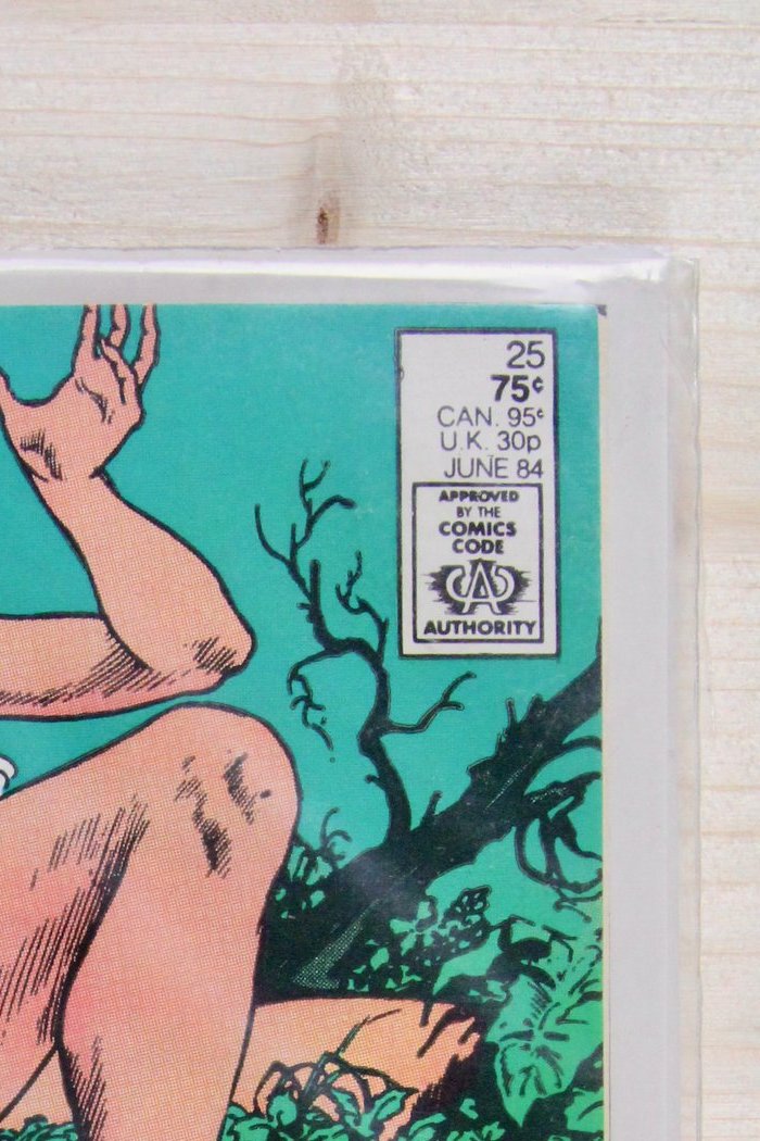 The Saga of Swamp Thing #25 – DC (1984) 9.4 NM Alan Moore story
