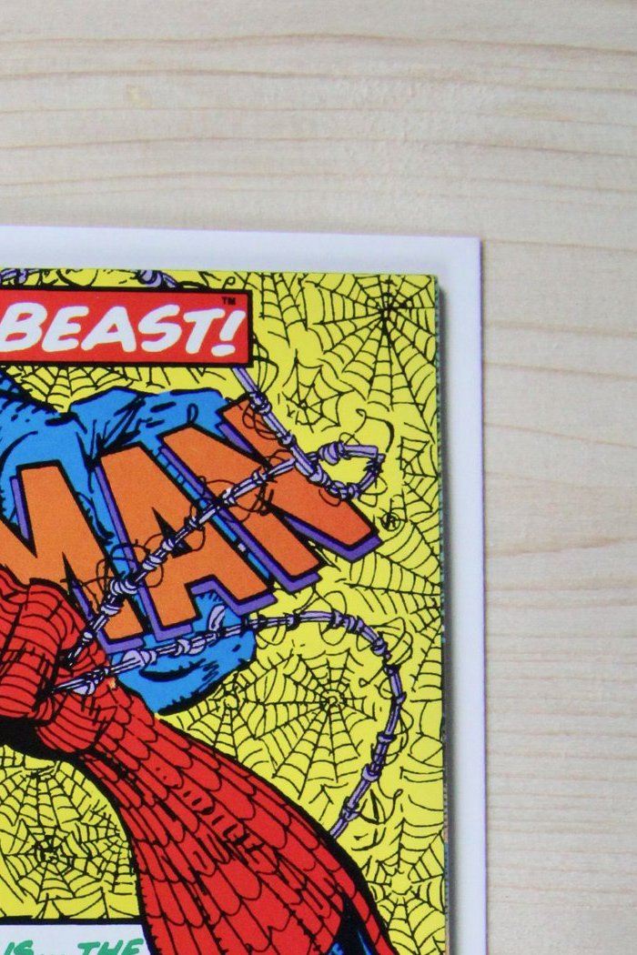Spider-Man #15 – Marvel (1991) 9.2 NM- Erik Larsen story