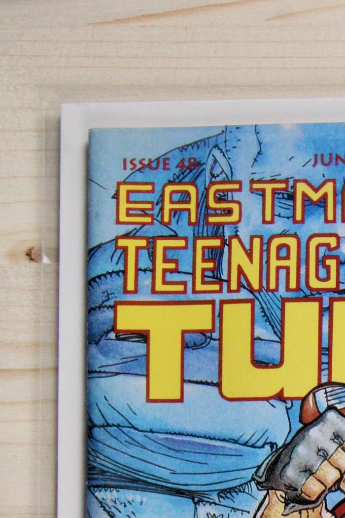 Teenage Mutant Ninja Turtles #21 – Mirage (1989) 9.4 NM Return to New York