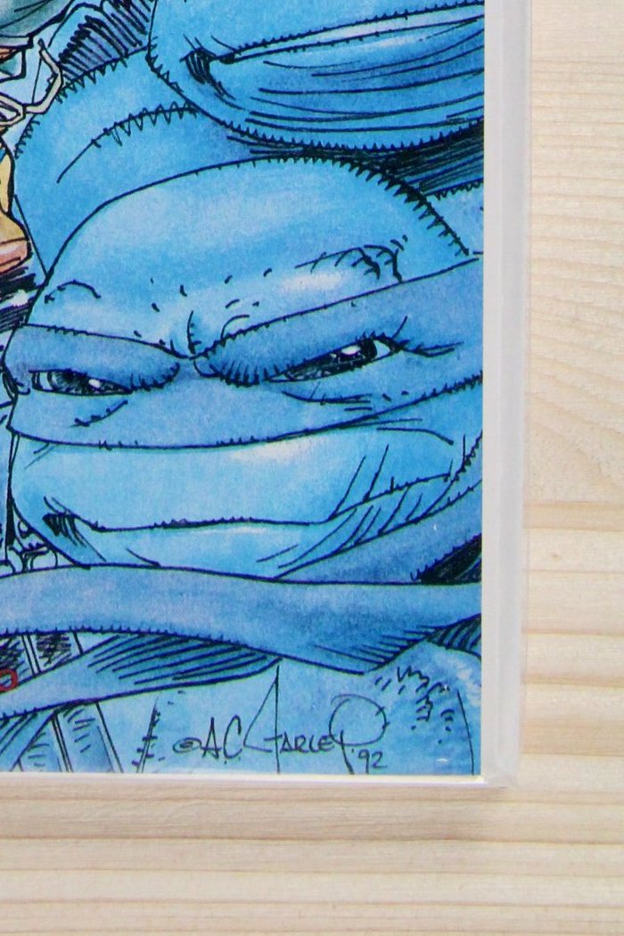 Teenage Mutant Ninja Turtles #21 – Mirage (1989) 9.4 NM Return to New York