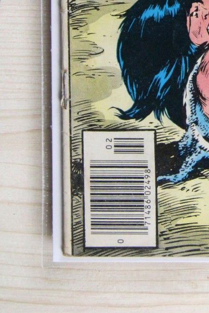 Conan the Barbarian #95 – Marvel (1979) 6.0 FN Newsstand Edition