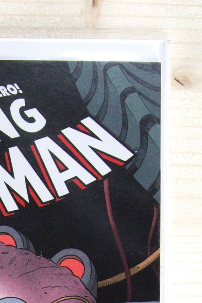 The Amazing Spider-Man #698 – Marvel (2013) 9.4 NM Dying Wish