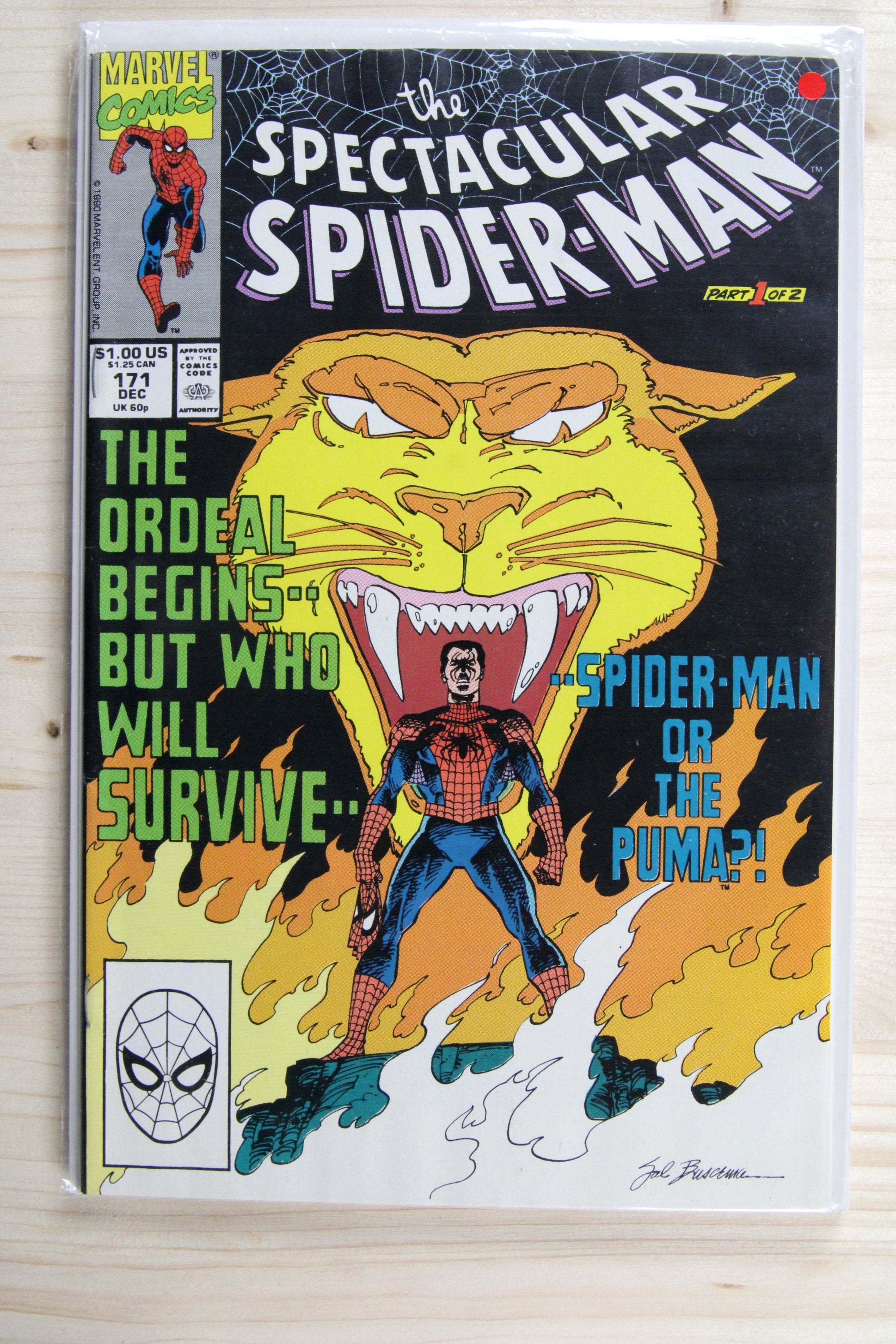The Spectacular Spider-Man #171 – Marvel (1990) 9.2 NM-