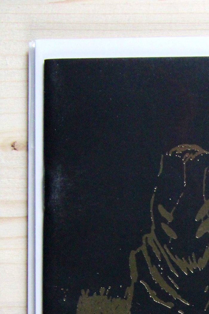 Something is Killing the Children #38 – Boom! Studios (2024) 9.6 NM+ 5th Year Foil Variant